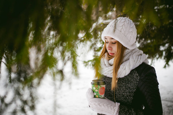 Portrait of cute woman in white scarf and hat knitted coat on outdoors background of snow and blurred fir branches in winter. - Φωτογραφία, εικόνα