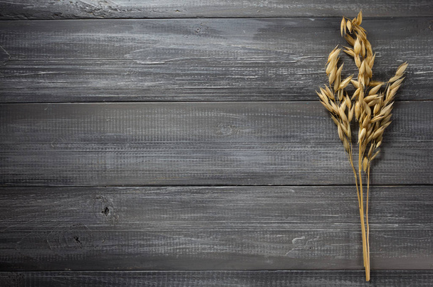 ears of oat on wood - 写真・画像