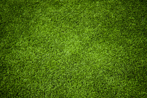 Textura de hierba - Foto, Imagen
