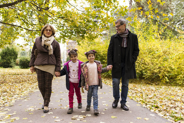 Grands-parents avec petits-enfants dans le parc d'automne
 - Photo, image