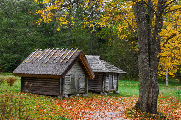 μεσαιωνική, σπίτια ψαράδων στο δάσος το φθινόπωρο. Ιστορική αρχιτεκτονική, ορόσημο, Εσθονία υπαίθριο μουσείο στο Ταλίν. Παλιό ξύλινο σπίτι με καλαμένια στέγη. Το φθινόπωρο. Εσθονία. - Φωτογραφία, εικόνα
