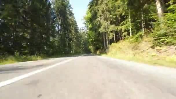 Romanya'da herdem yeşil orman - Video, Çekim