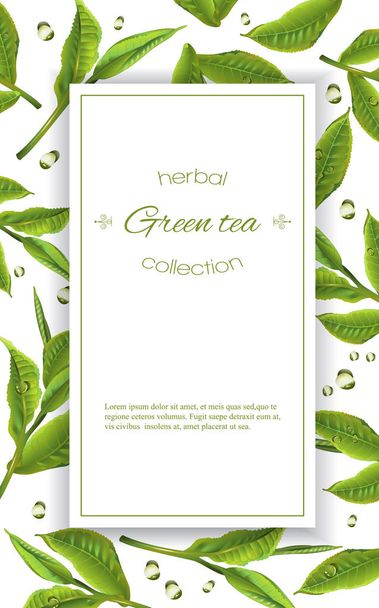 Yeşil çay afiş - Vektör, Görsel