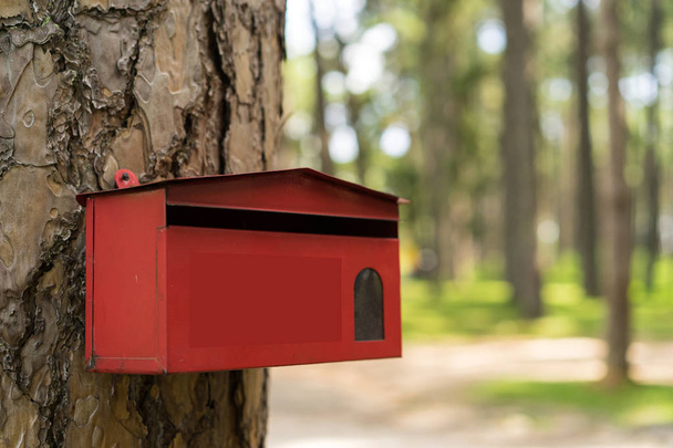 Красный почтовый ящик заржавел, избирательный фокус
. - Фото, изображение