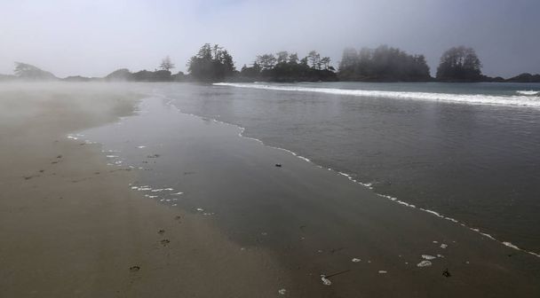 Tofino Misty Beach - Photo, image