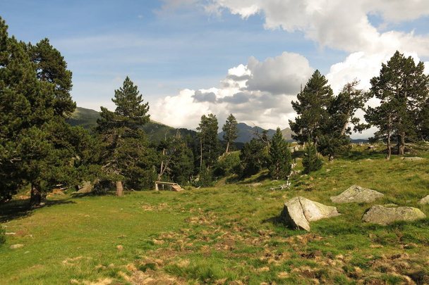 вид на долину Llubriqueto в национальном парке Айгуэстортес, Catalo - Фото, изображение