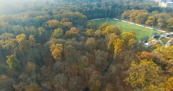 Aerial of fall city park - Footage, Video