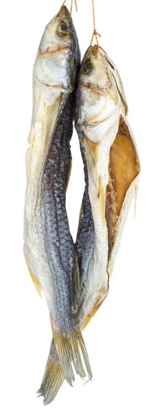 Two dried salted grey mullet fishes - Photo, Image