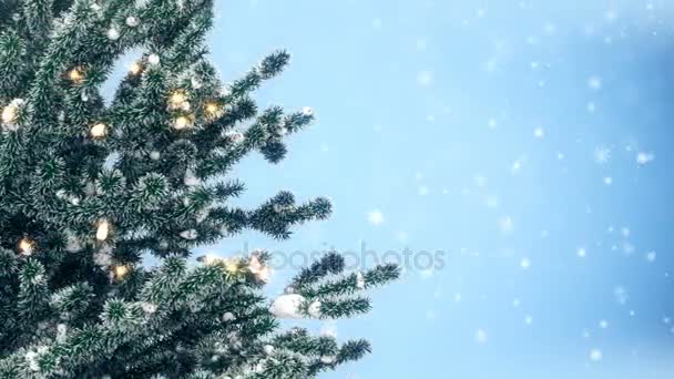 χριστουγεννιάτικο δέντρο με λαμπτήρες - Πλάνα, βίντεο