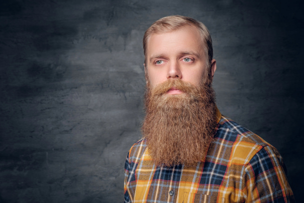 Руда бородатий людина
 - Фото, зображення