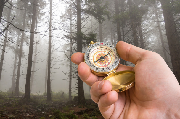 Cestovatel muž s kompasem, hledání správné cesty v lese - Fotografie, Obrázek