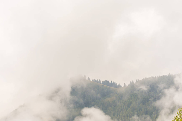 Ομίχλη και σύννεφα στο ελατοδάσος στα βουνά Άλπεων - Φωτογραφία, εικόνα