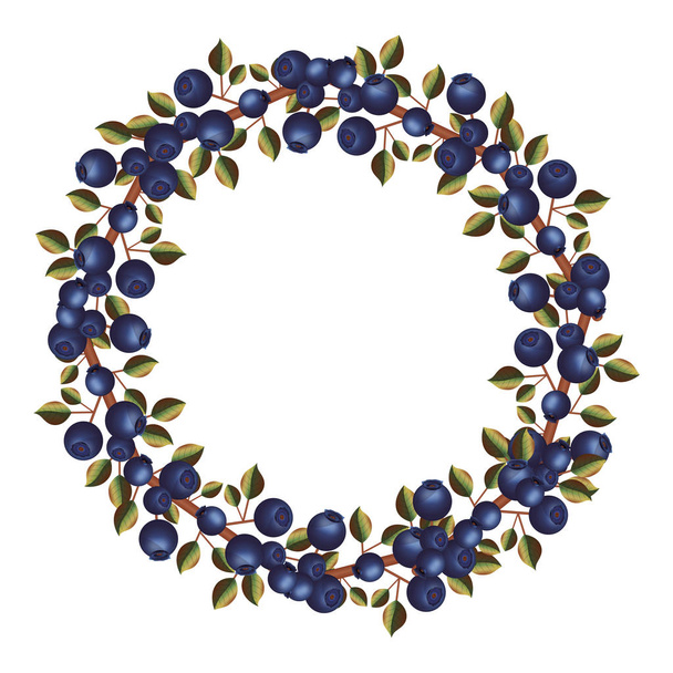 Blueberry fruit with leaves design - Vector, afbeelding