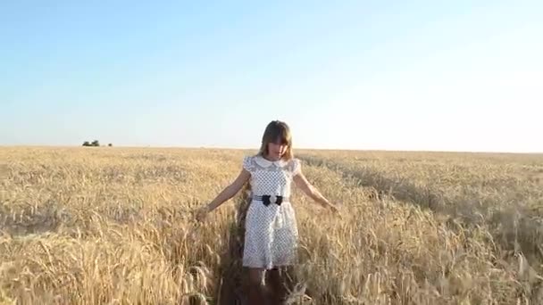 Dziewczyna, chodzenie na polu z pszenicy, dotyczy pszenicy palms żółty - Materiał filmowy, wideo
