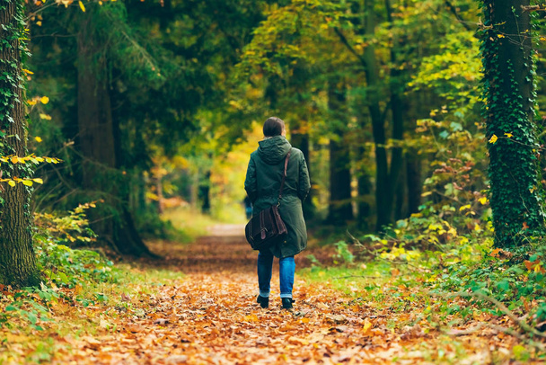 Femme marchant dans la forêt d'automne - Photo, image
