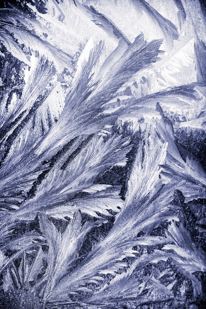 Zimní vzory na okně - Fotografie, Obrázek