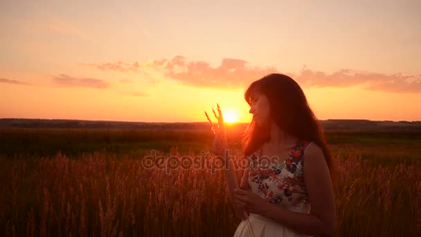 Chica de pie en la puesta del sol con espiguilla de hierba
 - Imágenes, Vídeo