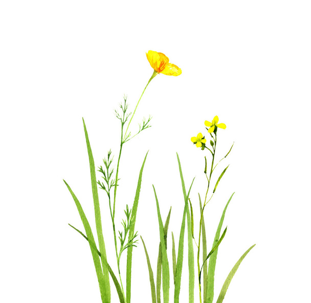 Watercolor drawing green grass and flowers - Valokuva, kuva