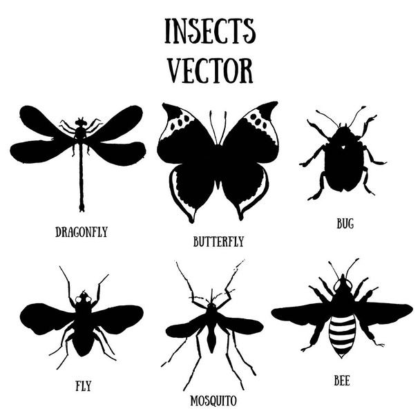 Set of vector black silhouette insects (butterfly, dragonfly, fly, bug, bee and mosquito) isolated on white background - Vektor, Bild