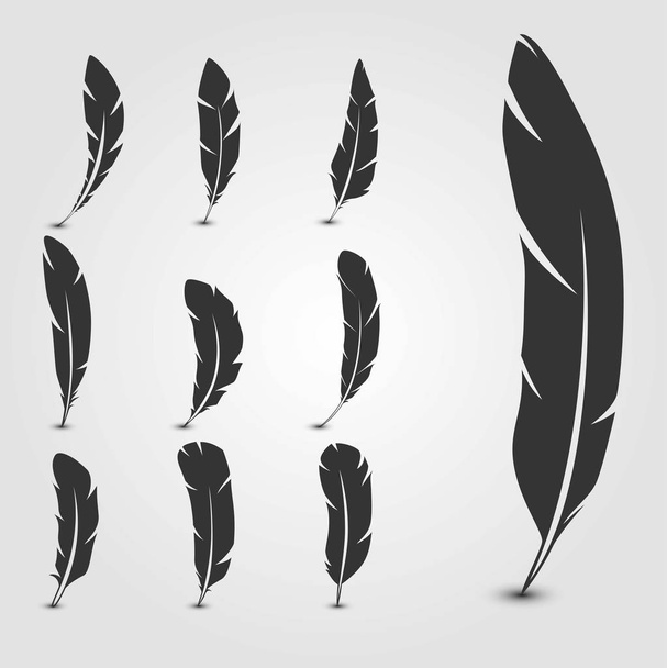 Set of feathers. Vector illustration. - Vector, Image