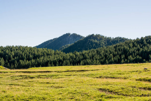  Montanhas arborizadas em paisagem panorâmica vista de Artvin highlan
 - Foto, Imagem