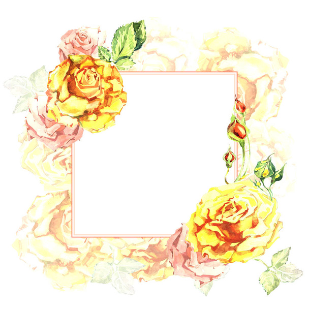 Wildflower kwiat róży rama w stylu przypominającym akwarele na białym tle. - Zdjęcie, obraz