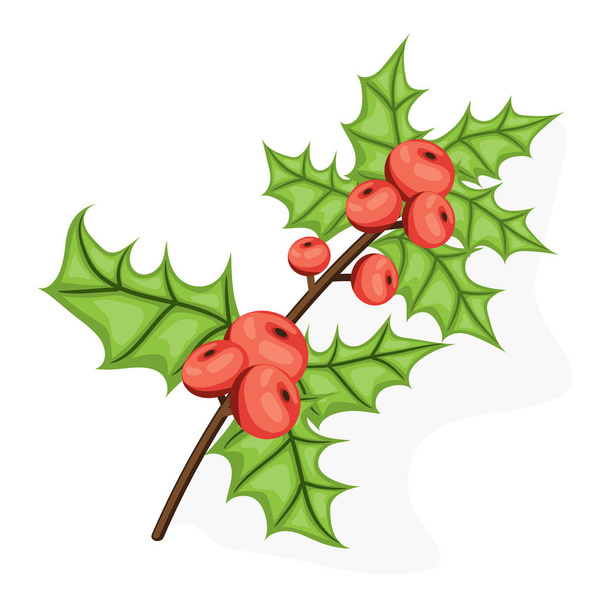 Holli berry - Christmas symbol. Flat vector illustration. Ref berries and green leaves isolated on white background - Vetor, Imagem