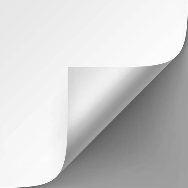 灰色の背景にホワイト ペーパーではシャドウ間近で分離されたモックアップの丸まった角 - ベクター画像
