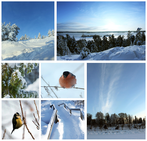 Collage foto inverno
 - Foto, immagini