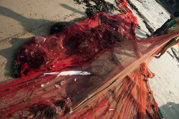 Hal hálók teljes fogás - Fotó, kép