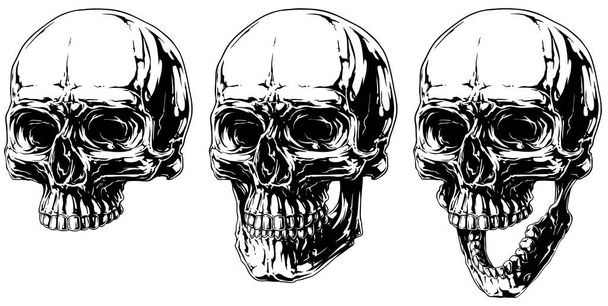 Coole detaillierte Gruselgrafik menschlicher Schädel - Vektor, Bild