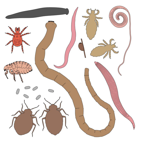 мультяшна ілюстрація людських паразитів
 - Фото, зображення