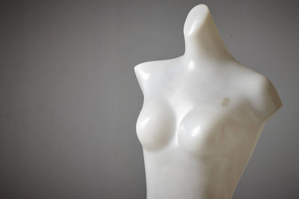 female mannequin naked on the plain background - Foto, imagen