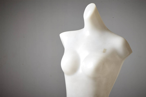 female mannequin naked on the plain background - Φωτογραφία, εικόνα