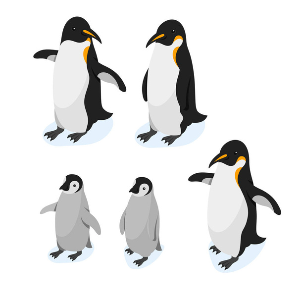 Isometric 3d vector realistic style set of penguins. - Vektor, Bild