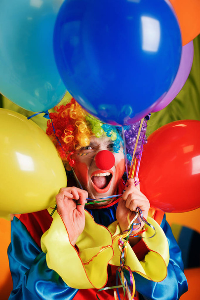 портрет клоуна с шариками
 - Фото, изображение