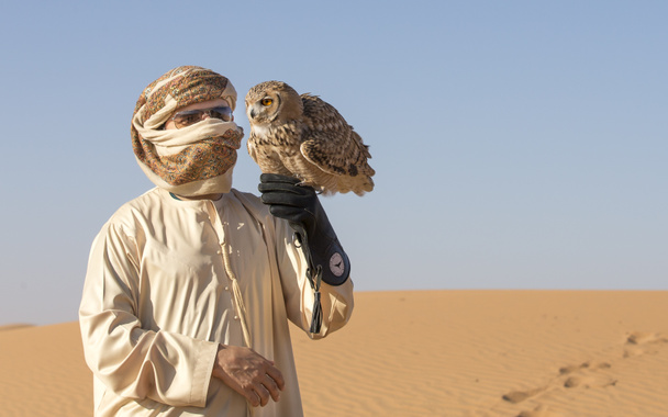 Falconer training desert owl  - Photo, Image
