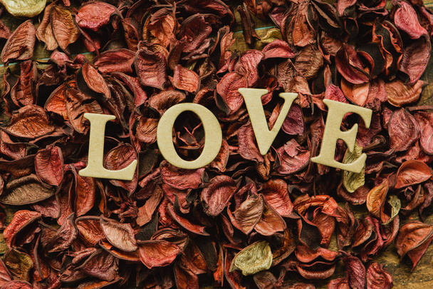 Love on dry red petals - Valokuva, kuva