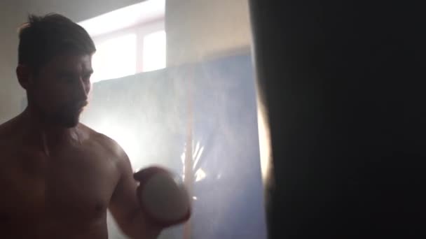 schöner Mann boxt mit roten Boxhandschuhen - Filmmaterial, Video