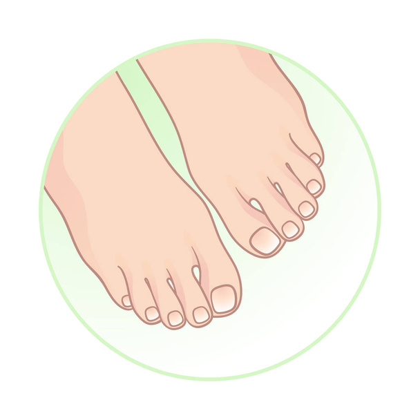 Beautiful female feet. Body care icon design vector - Vector, Image