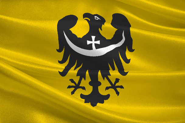 Bandera de Voivodato de Baja Silesia en Polonia
 - Foto, Imagen