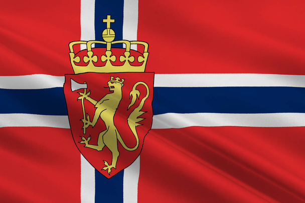 ノルウェーの旗 - 写真・画像