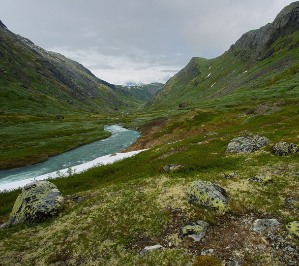 Ποταμός στο σκανδιναβικό τοπίο - Φωτογραφία, εικόνα