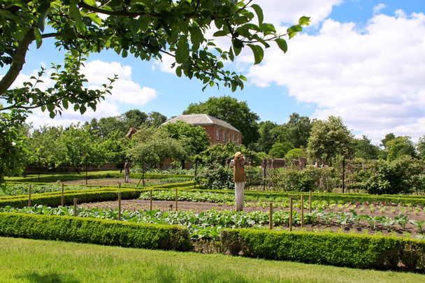 Английский сельский сад
 - Фото, изображение