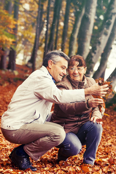 Senior couple enjoying  - Photo, Image