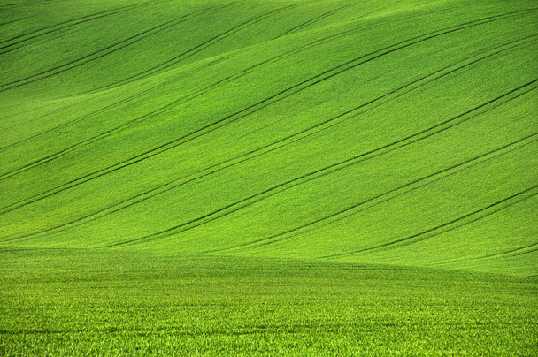 vihreä mäki traktorin polkuja
 - Valokuva, kuva