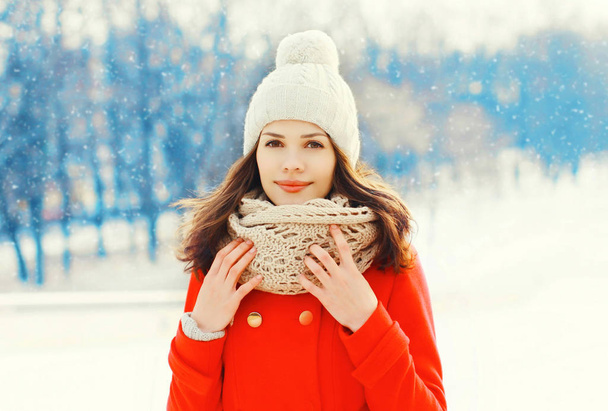 Portrait pretty young woman wearing a jacket and hat in winter d - Foto, Imagem