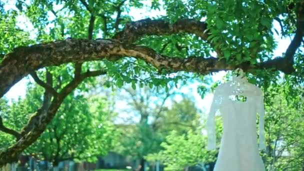 La robe blanche de mariage accroche sur l'arbre
 - Séquence, vidéo
