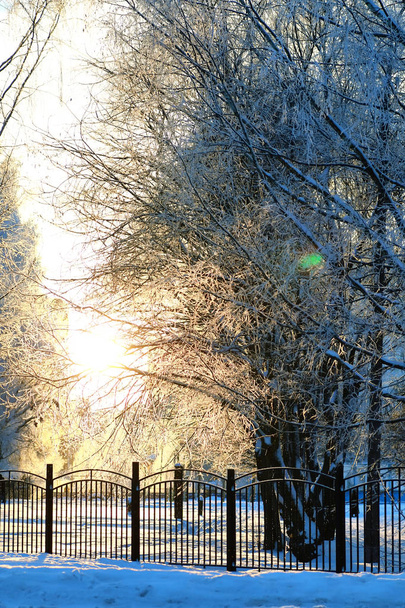 płot pokryte śniegiem zima park - Zdjęcie, obraz