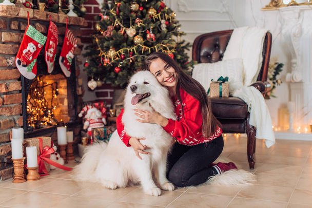 donna vicino all'albero di Natale con cane samoiedo
 - Foto, immagini